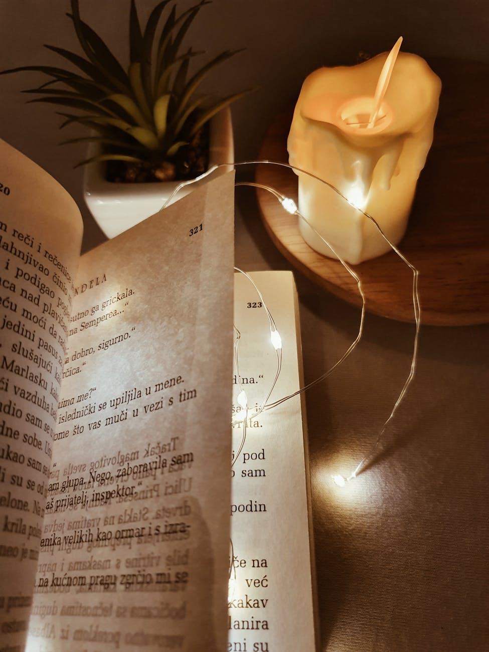 An open book with text and highlighted pages, accompanied by a decorative candle and a small plant in the background. Soft lighting enhances the cozy atmosphere.